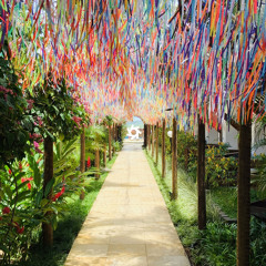 2020-03-02 Live @ Casa do Arvoredo (Trancoso, Bahia, Brazil)