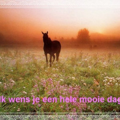 ik wens je een hele mooie dag (organ)