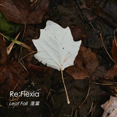 Leaf Fall