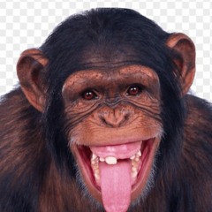 Odyssey Tavern Podcast ep #1 | with TANTRUM & kollin