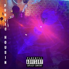 PUBLIC HOUSIN