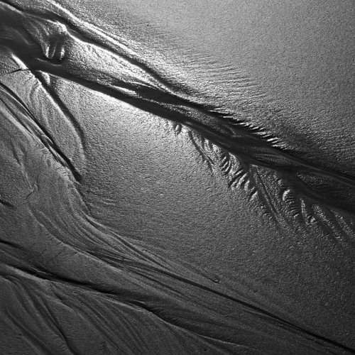 Full Bleed (Ft Taskforce)