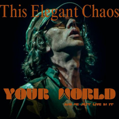 Your World -This Elegant Chaos
