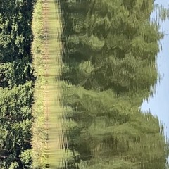 WAVES OF AIR