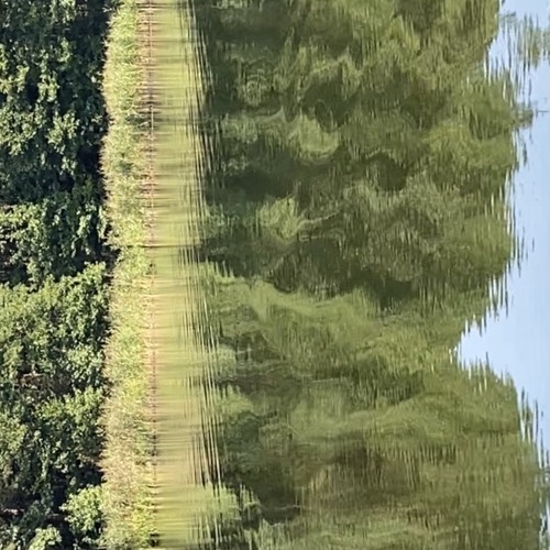 WAVES OF AIR