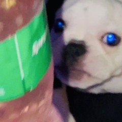 somos the shiii prod donyy