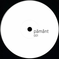 B1. Venda ~ 1.2 [pământ001]