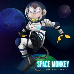 Adrianini Bunka - Space Monkey