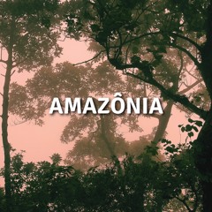 Amazonia (Calm Meditation)