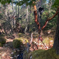 Beaumont - Pender Aug3 - 2023 - 0920