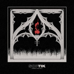 Lost In Ether | P R E M I E R E |  Willy Parker - Back From Death [SOPTIK]