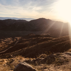 White Label - Love Letter