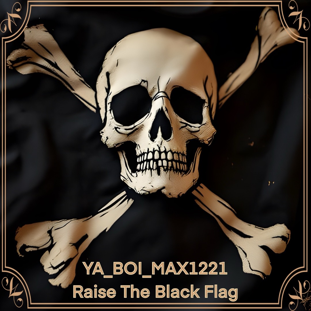 The Birthday「RAISE YOUR BLACK FLAG The…」 RAISE YOUR BLACK FLAG The Birthday TOUR