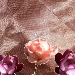 trqnsiti0n / contemplqtions from the chrysqlis (prod. j'san)