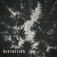 Aesthetics
