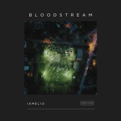 Bloodstream