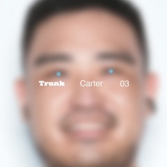 Trunk Carter 03 mix