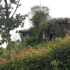 de ting vi ikke nåede (prod. lego)