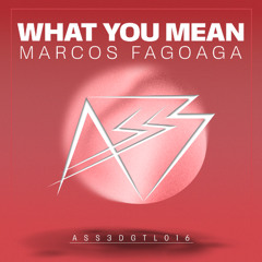 PREMIERE: Marcos Fagoaga - What You Mean (Alessandro Cocco Remix)