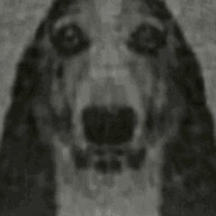 switch it up. prod delixe