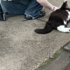 Just chilling and My shoes falling apart