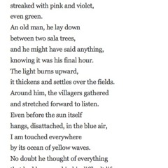 336 The Buddha's Last Instruction by Mary Oliver