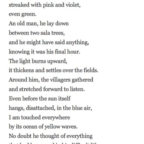 336 The Buddha's Last Instruction by Mary Oliver