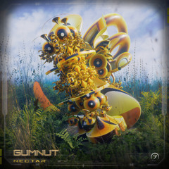 Gumnut - Nectar (seamless mix)
