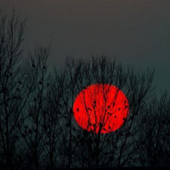 RedMoon (prod. flower x 5head)