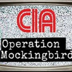 Operation Mockingbird WIP