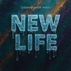 New Life (Gabriele nardi remix)