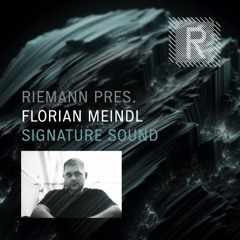 Riemann Pres. Florian Meindl Signature Sound (Demo Song)