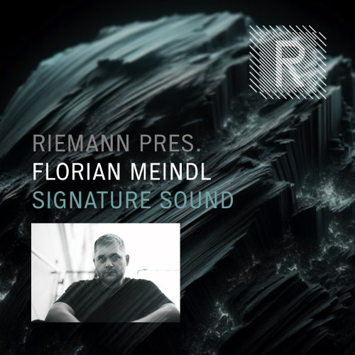 Riemann Pres. Florian Meindl Signature Sound (Sample Pack Demo Song)