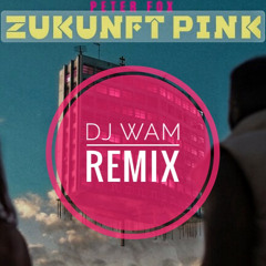 PETER FOX - ZUKUNFT PINK (feat. Inéz) (DJ WAM HOUSE REMIX)