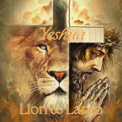 Yeshua; The Reason