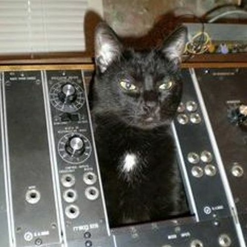 you don't like me i think :p