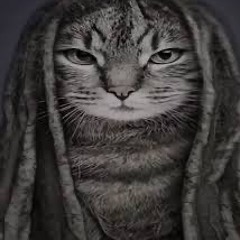 tuborosho,pharaoh snippet  23.05.2025