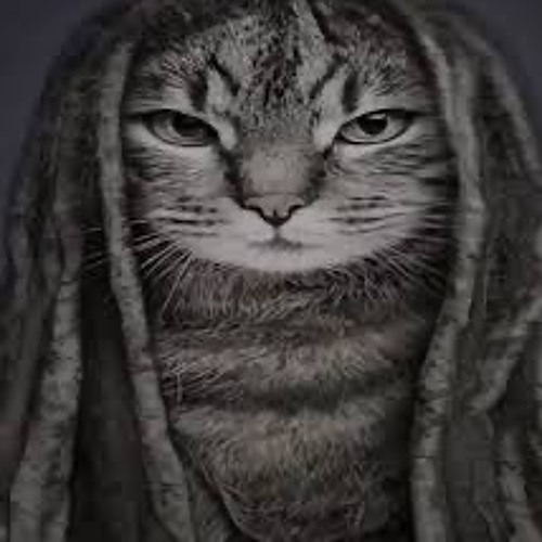 Copy of Related tracks: tuborosho,pharaoh snippet  23.05.2025