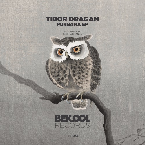 Tibor Dragan - Purnama (Original Mix)