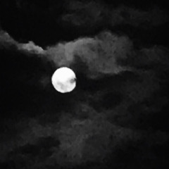Stargazing Until Im Feeling Numb