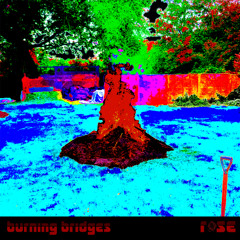 Buring Bridges
