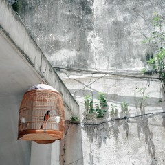 Caged Bird - Myles Cameron (Instrumental)