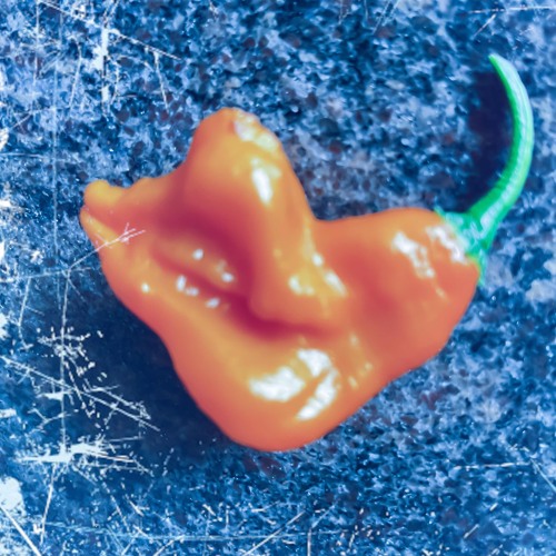 No way to stand - Ngoni sketch