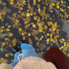 letter to an old poet, boygenius- cover