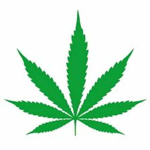 Leaf For Life333 (STBB#787)