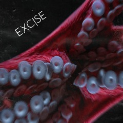 Excise