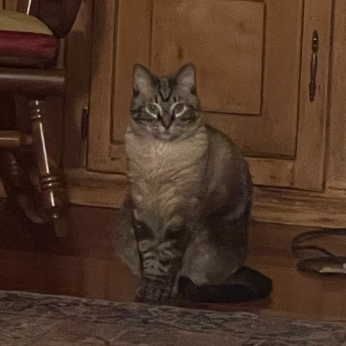 sarieon los - 100% of the time (feat. fresh valley kings)