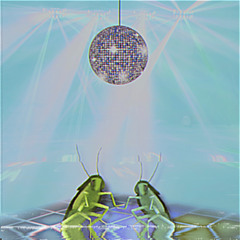 Полюби техно, бейби! (feat. Тима)