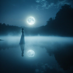 Whispers in the Misty Air