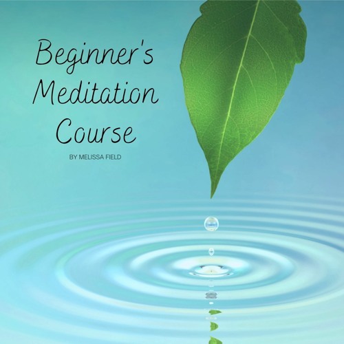 Beginner's Meditation Course: 2 Minute Meditation